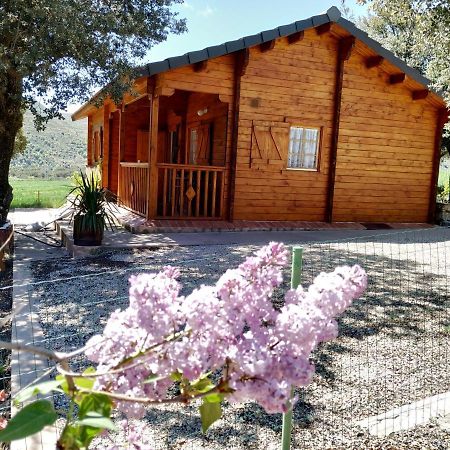 Olocau del Rey La Casa Del Estanque 빌라 외부 사진