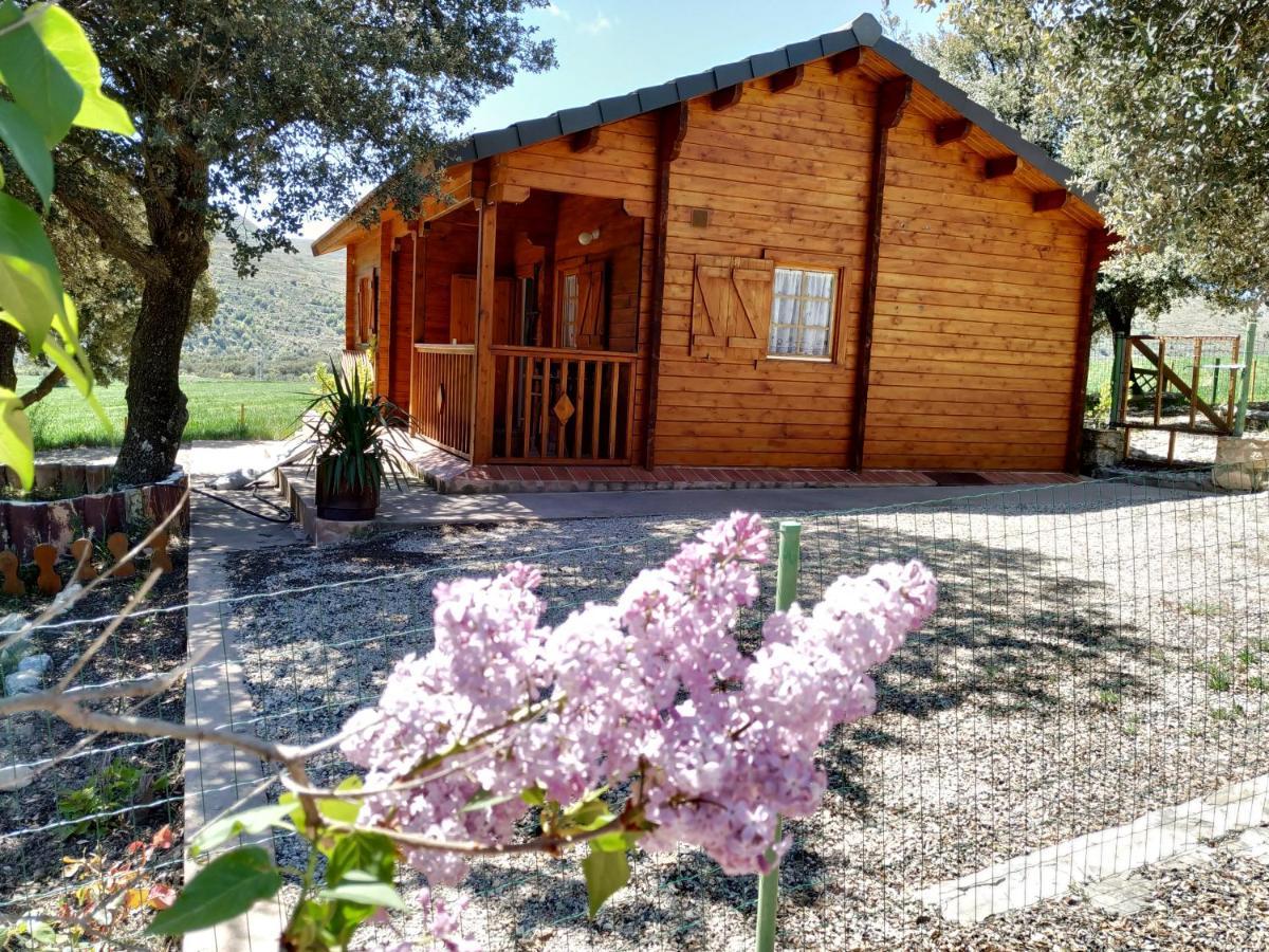 Olocau del Rey La Casa Del Estanque 빌라 외부 사진