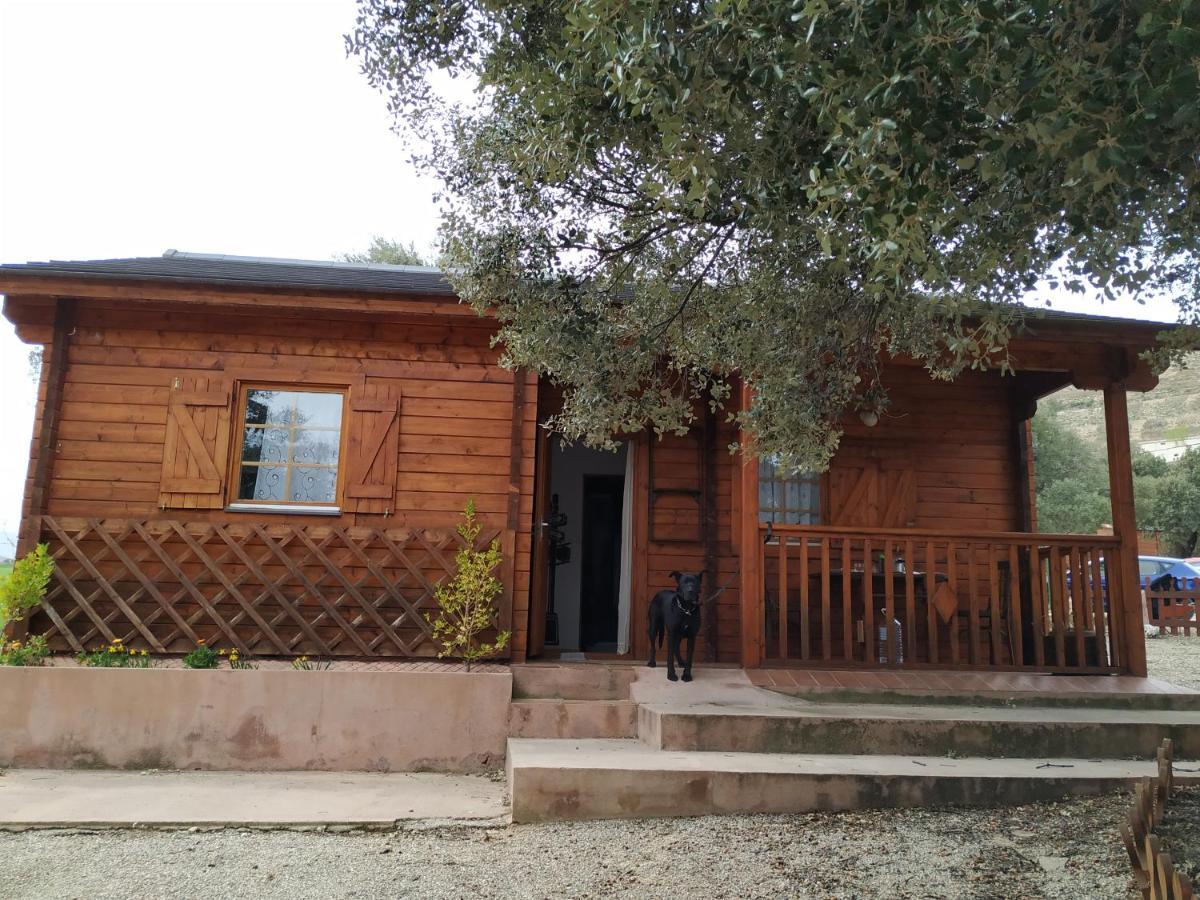 Olocau del Rey La Casa Del Estanque 빌라 외부 사진