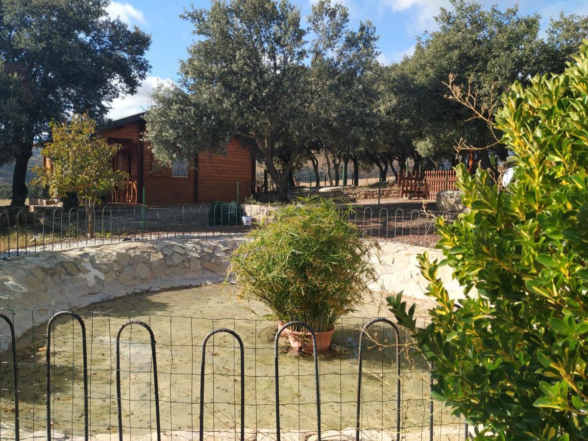 Olocau del Rey La Casa Del Estanque 빌라 외부 사진